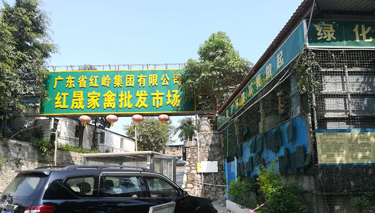 屠宰市場廢水處理方案